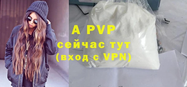 a pvp Бородино