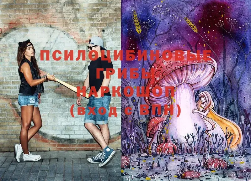 закладки  Закаменск  mega онион  Псилоцибиновые грибы MAGIC MUSHROOMS 